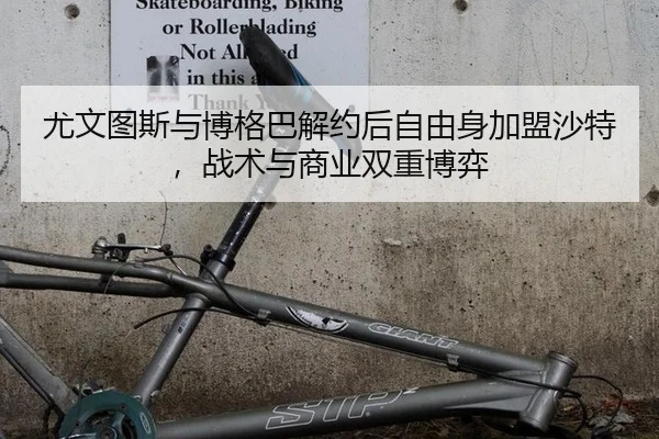 you-wen-tu-si-yu-bo-ge-ba-jie-yue-hou-zi-you-shen-jia-meng-sha-te-zhan-shu-yu-shang-ye-shuang-chong-bo-yi-3-730.jpg