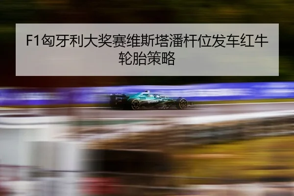 xiong-ya-li-da-jiang-sai-wei-si-ta-pan-gan-wei-fa-che-hong-niu-lun-tai-ce-lve-3-290.jpg