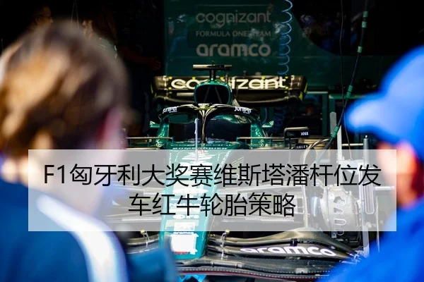 F1匈牙利大奖赛维斯塔潘杆位发车红牛轮胎策略