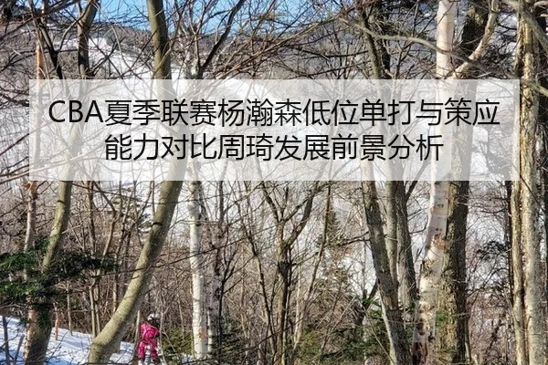xia-ji-lian-sai-yang-han-sen-di-wei-dan-da-yu-ce-ying-neng-li-dui-bi-zhou-qi-fa-zhan-qian-jing-fen-xi-3-434.jpg