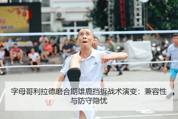 zi-mu-ge-li-la-de-mo-he-qi-xiong-lu-dang-chai-zhan-shu-yan-bian-jian-rong-xing-yu-fang-shou-yin-you-2-919.jpg